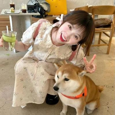 爱你不言而喻