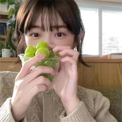 国王与小鸟