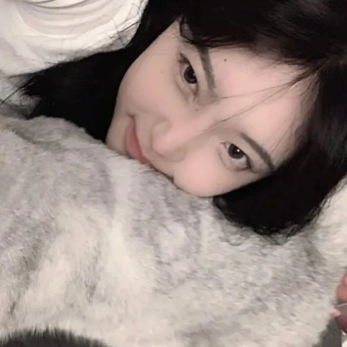 狮子彻夜未眠